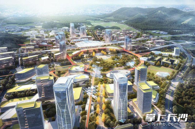 1655966798421346.jpeg d.jpeg